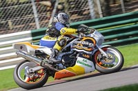 brands-hatch-photographs;brands-no-limits-trackday;cadwell-trackday-photographs;enduro-digital-images;event-digital-images;eventdigitalimages;no-limits-trackdays;peter-wileman-photography;racing-digital-images;trackday-digital-images;trackday-photos